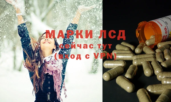 индика Семикаракорск