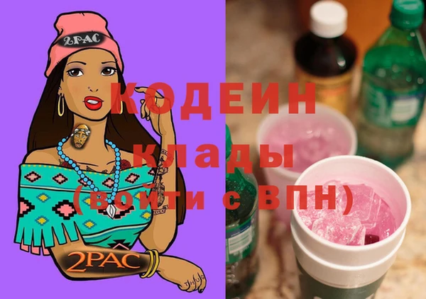 индика Семикаракорск